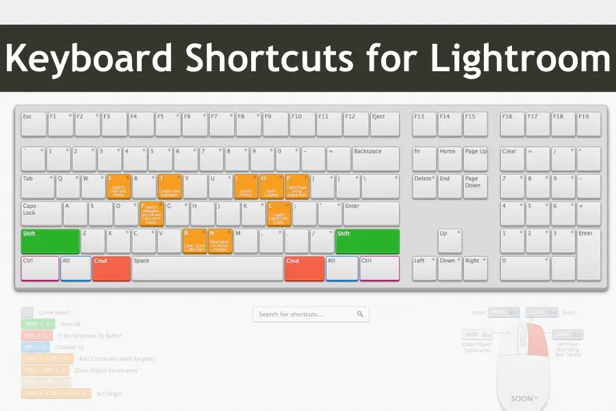 The Ultimate List of Keyboard Shortcuts for Lightroom Users